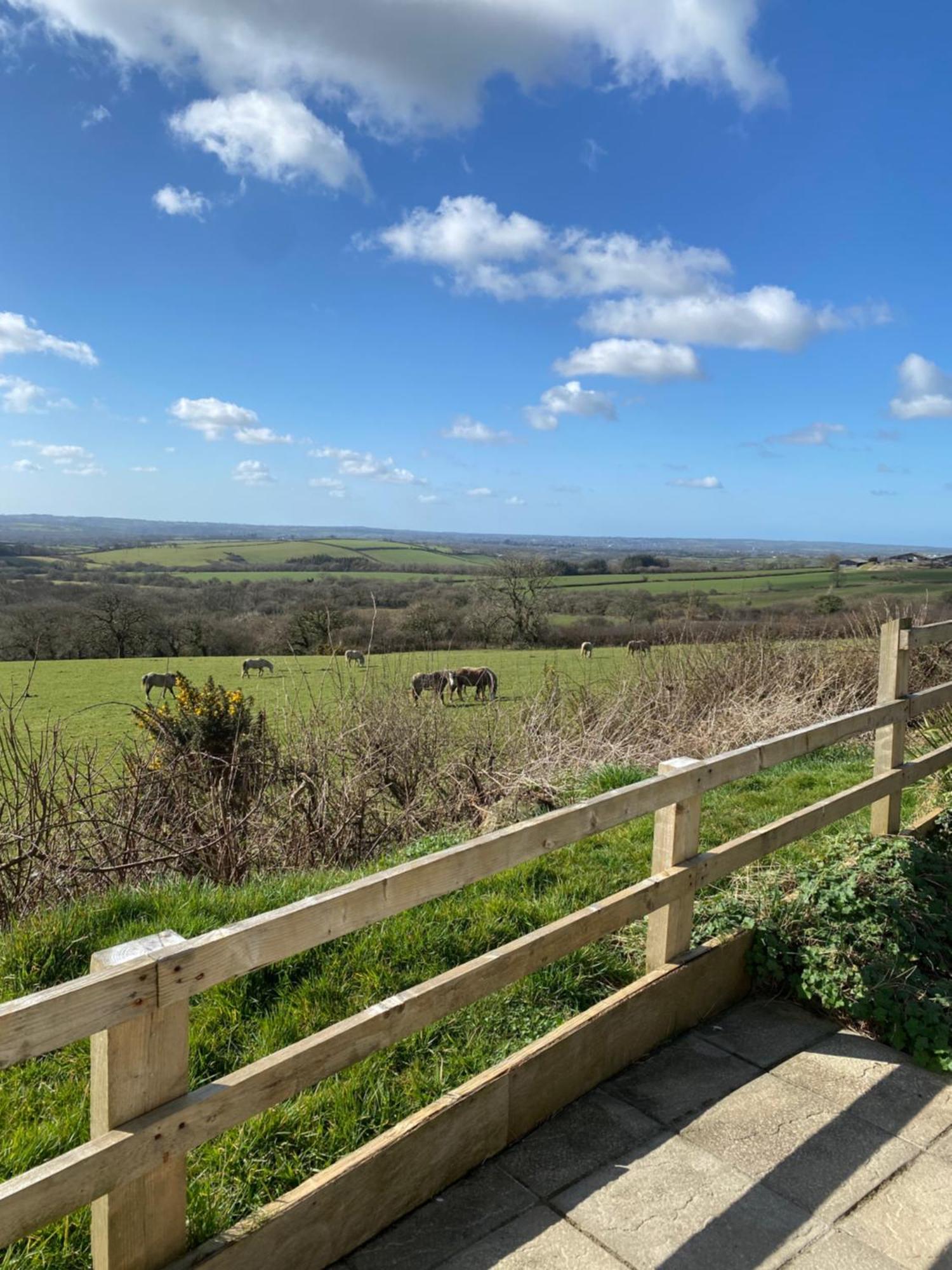 Meadow View Villa Haverfordwest Dış mekan fotoğraf